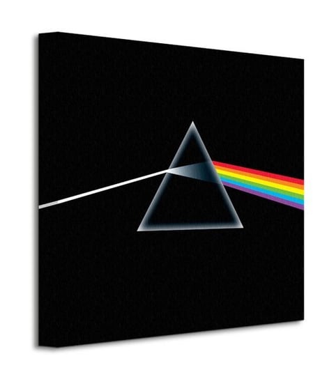Pink Floyd Dark side of the Moon - obraz na płótnie Pyramid International