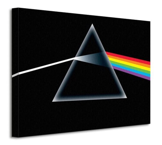 Pink Floyd Dark Side Of The Moon - obraz na płótnie Pyramid International