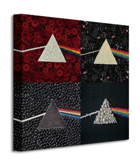 Pink Floyd DSOTM Collections - obraz na płótnie Pyramid International