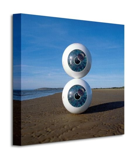 Pink Floyd Pulse Eyeballs - obraz na płótnie Pyramid International