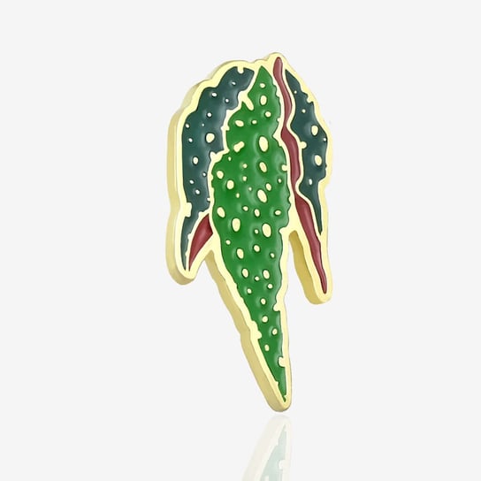 Pins begonia maculata Inna marka