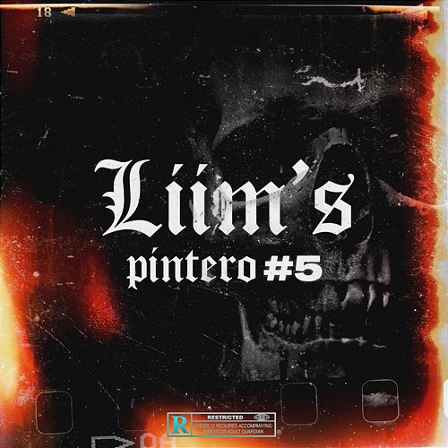 Pintero #5 Liim's