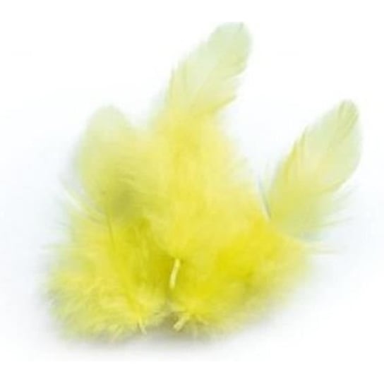 Pióra Koguta - Żółte Inna marka
