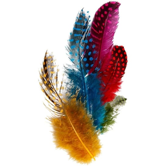 Pióra perliczki, barwione, 3 g Creativ Company