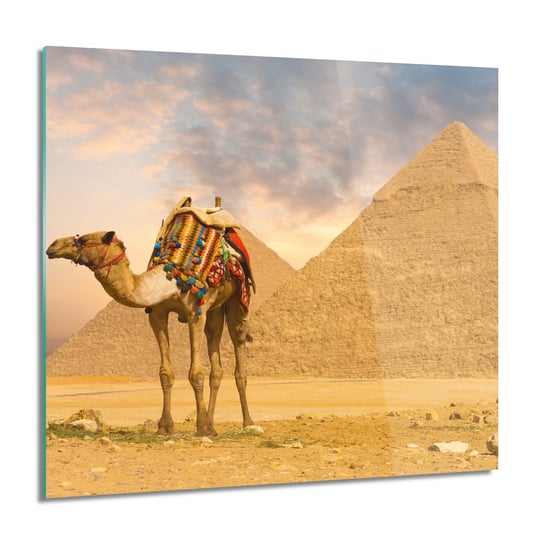 Piramida wielbłąd foto-obraz foto na szkle, 60x60 cm ArtPrintCave