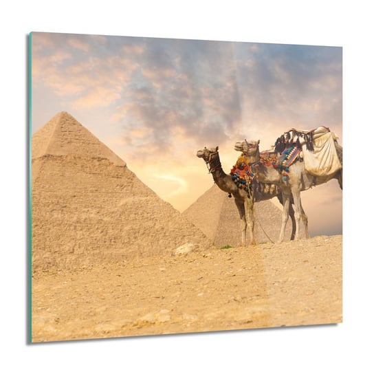 Piramida wielbłąd grafika obraz na szkle, 60x60 cm ArtPrintCave
