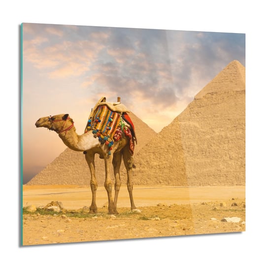 Piramida wielbłąd obraz na szkle ścienny, 60x60 cm ArtPrintCave