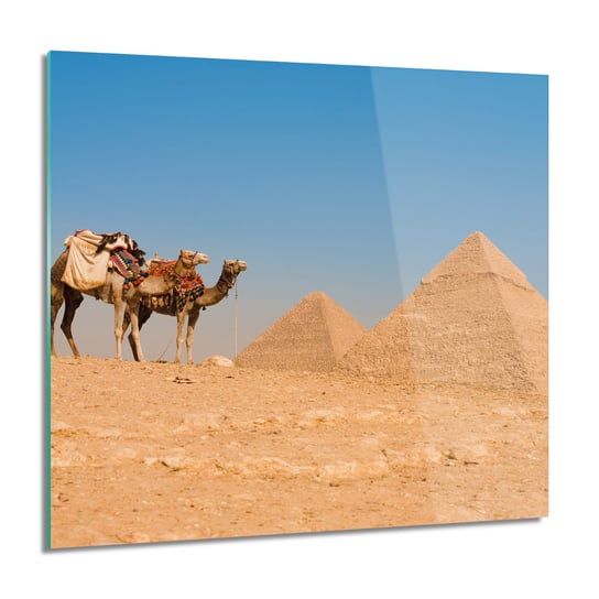 Piramidy wielbłąd foto na szkle na ścianę, 60x60 cm ArtPrintCave