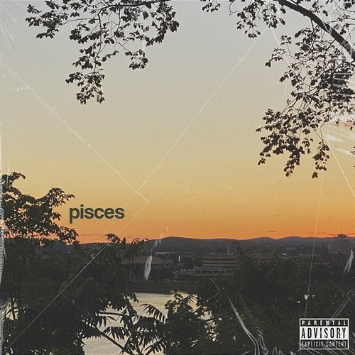 Pisces 404vincent