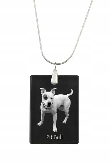 Pitbull Kryształowy naszyjnik z psem grawer Inna marka