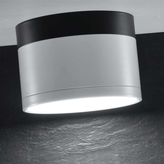 Plafon LAMPA sufitowa 2273631 Candellux okrągła OPRAWA metalowa LED 9W 4000K downlight biały czarny Candellux