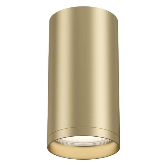 Plafon LAMPA sufitowa FOCUS S C052CL-01MG Maytoni downlight OPRAWA metalowa tuba spot złoty matowy Maytoni