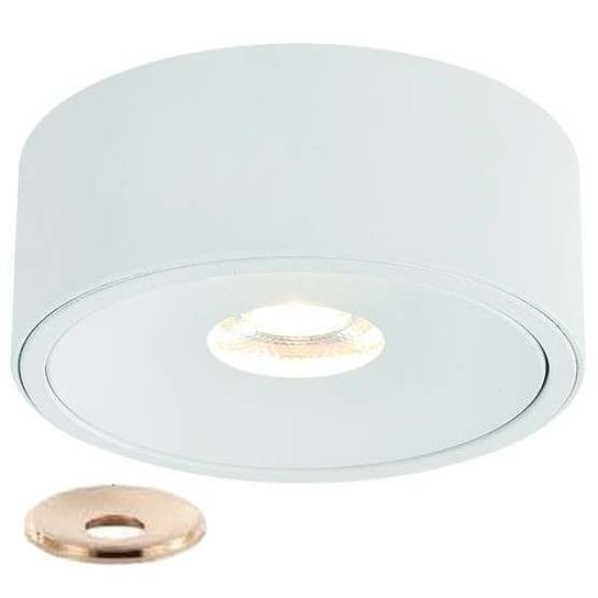 Plafon LAMPA sufitowa Neo Bianco Slim Led / UFO Gold Orlicki Design metalowa OPRAWA okrągła downlight LED 10W 3000K biały złoty Orlicki Design