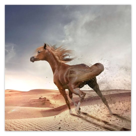 Plakat 100x100 Koń galopujący przez pustynię ZeSmakiem