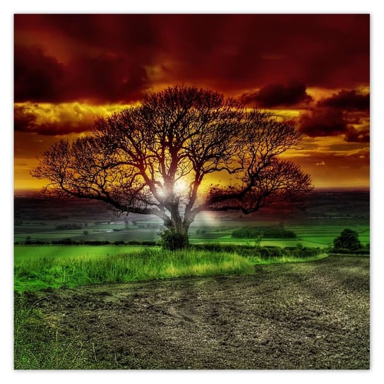 Plakat 100x100 Magiczne drzewo krajobraz ZeSmakiem