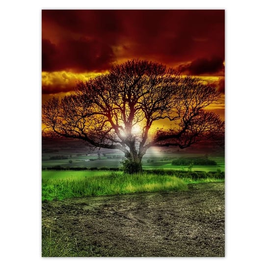 Plakat 100x135 Magiczne drzewo krajobraz ZeSmakiem