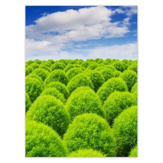 Plakat 100x135 Zielone spojrzenie Dolina ZeSmakiem