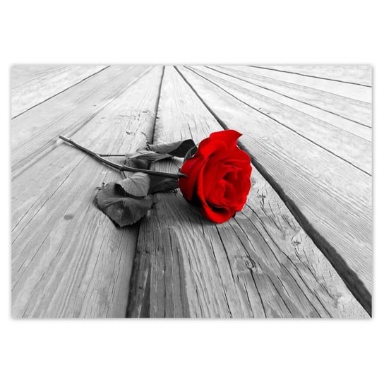 Plakat 100x70 Czerwona róża na deskach ZeSmakiem