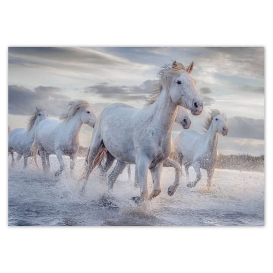 Plakat 100x70 Dzikie konie ZeSmakiem