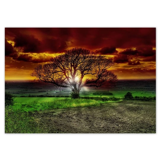 Plakat 100x70 Magiczne drzewo krajobraz ZeSmakiem