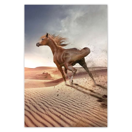 Plakat 105x155 Koń galopujący przez pustynię ZeSmakiem