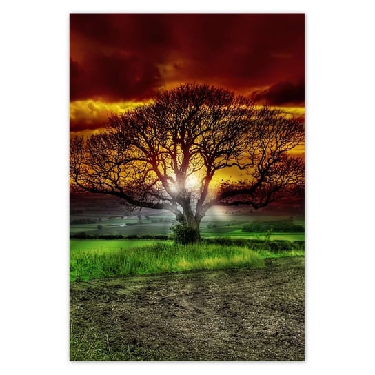 Plakat 105x155 Magiczne drzewo krajobraz ZeSmakiem