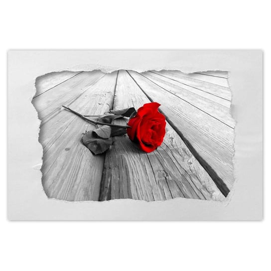 Plakat 120x80 Czerwona róża na deskach ZeSmakiem