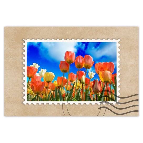 Plakat 120x80 Kolorowe tulipany Kwiaty ZeSmakiem