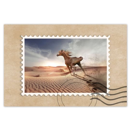 Plakat 120x80 Koń galopujący przez pustynię ZeSmakiem