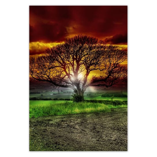 Plakat 125x185 Magiczne drzewo krajobraz ZeSmakiem