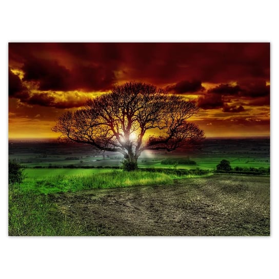 Plakat 135x100 Magiczne drzewo krajobraz ZeSmakiem