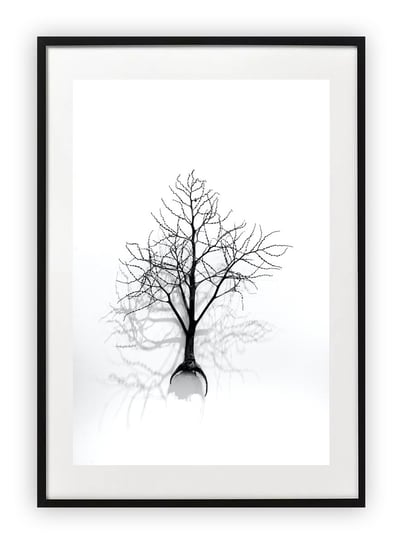 Plakat 13x18 cm Drzewo Cień Natura WZORY Printonia