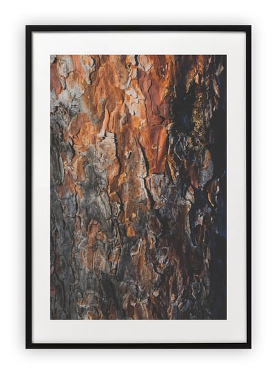 Plakat 13x18 cm Kora drzewo WZORY Printonia