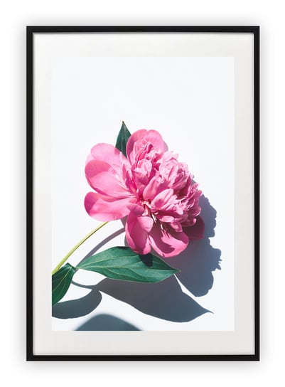 Plakat 13x18 cm Kwiat Rośliny Wiosna WZORY Printonia