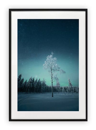 Plakat 13x18 cm Noc Drzewo Zima Śnieg WZORY Printonia