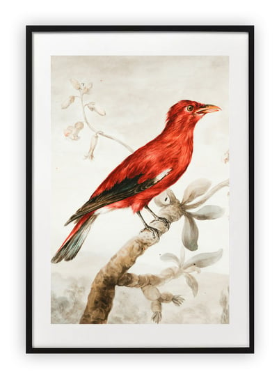 Plakat 13x18 cm Pomarańczowy ptak BIRD WZORY Printonia