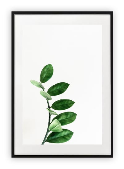 Plakat 13x18 cm Rośliny Natura Floral Zieleń WZORY Printonia