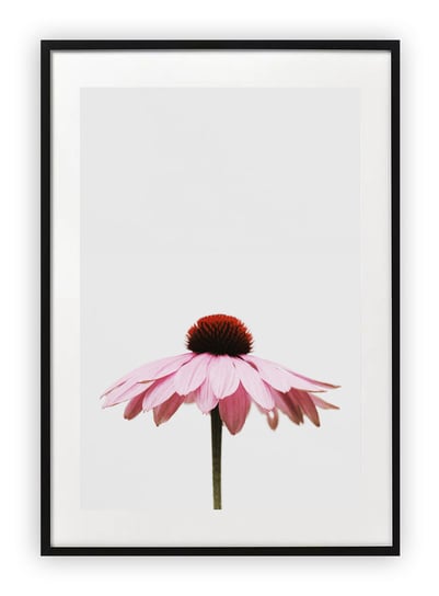 Plakat 13x18 cm Rózowy kwiatek WZORY Printonia