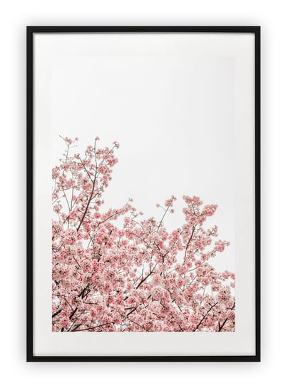 Plakat 13x18 cm Wiosna Rośliny Drzewa WZORY Printonia