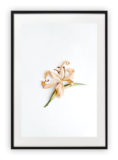 Plakat 13x18 cm Zieleń Rośliny Kwiaty Natura WZORY Printonia