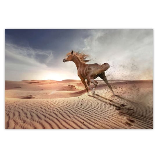 Plakat 155x105 Koń galopujący przez pustynię ZeSmakiem