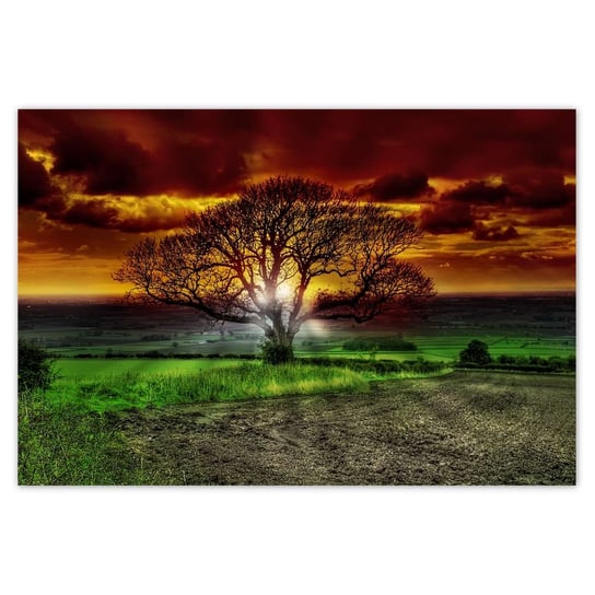 Plakat 155x105 Magiczne drzewo krajobraz ZeSmakiem