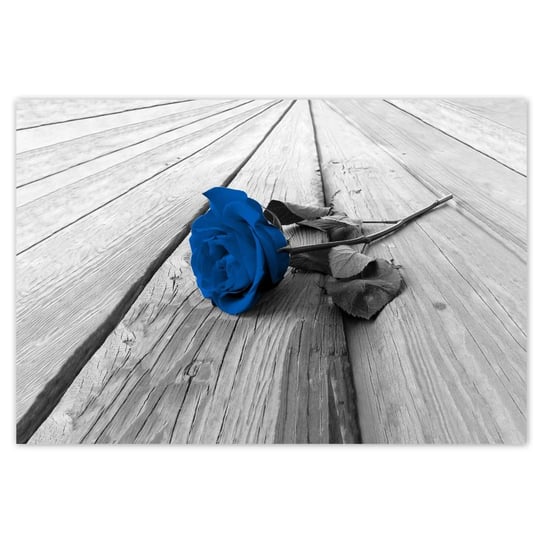 Plakat 155x105 Niebieska róża na moście ZeSmakiem