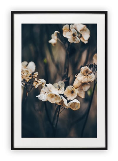 Plakat 15x21 cm Kwiat Naura Biel WZORY Printonia