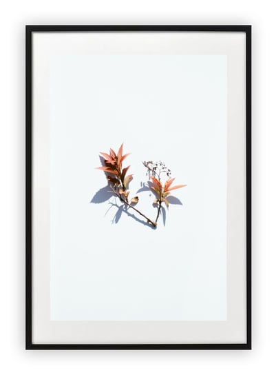 Plakat 15x21 cm Kwiaty Rośliny Natura     WZORY Printonia