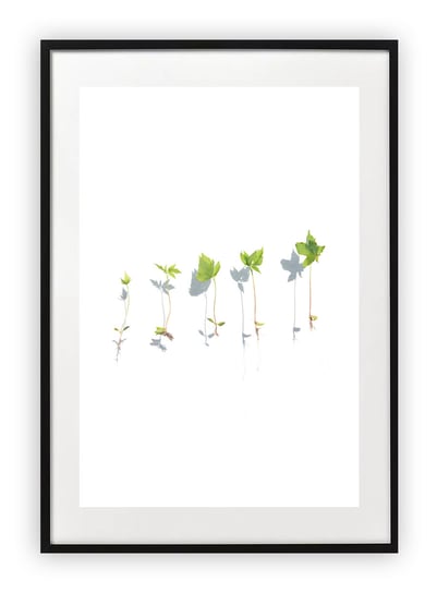 Plakat 15x21 cm Kwiaty Rośliny Zieleń Natura WZORY Printonia