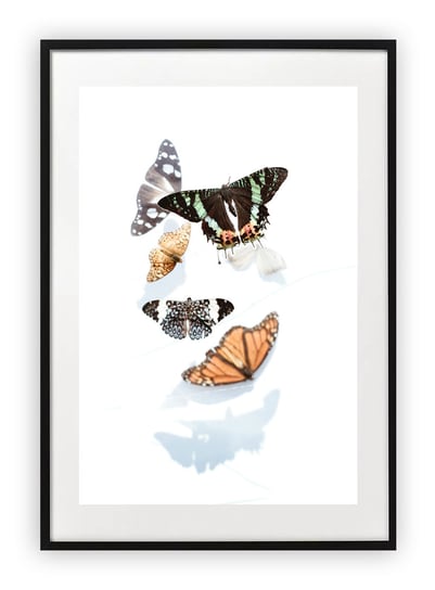 Plakat 15x21 cm Motyle Wiosna WZORY Printonia