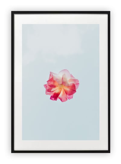 Plakat 15x21 cm Róż Kwiat Rysunek Sztuka WZORY Printonia