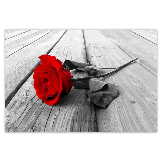 Plakat 185x125 Czerwona róża na drewnie ZeSmakiem