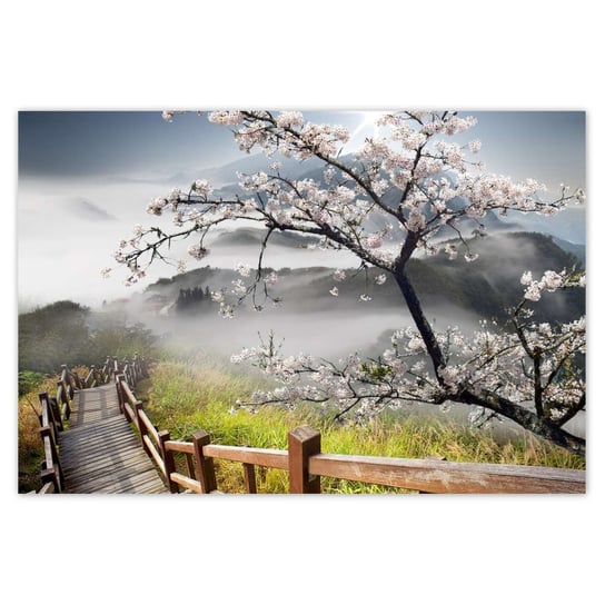 Plakat 185x125 Japonia kwitnąca wiśnia ZeSmakiem